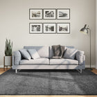 Vloerkleed 200x200 cm antraciet laagpolig