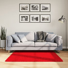 Vloerkleed OVIEDO laagpolig 120x120 cm rood