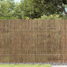 Tuinscherm Riet 300 x 100 cm