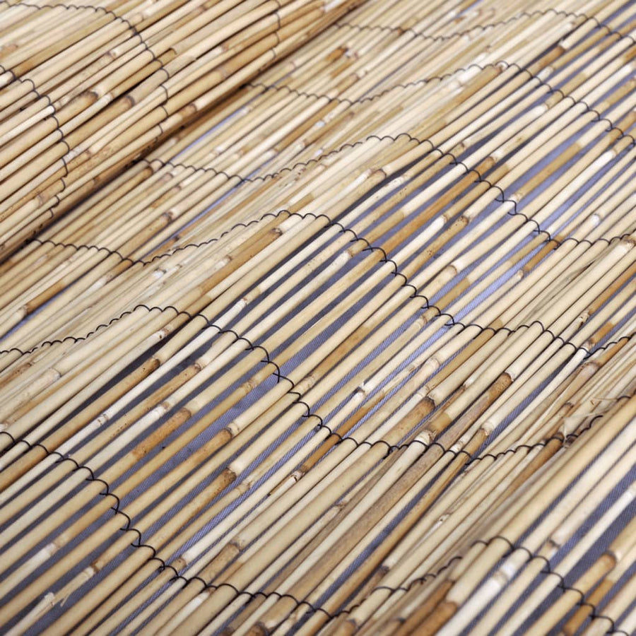 Tuinscherm Riet 600 x 100 cm