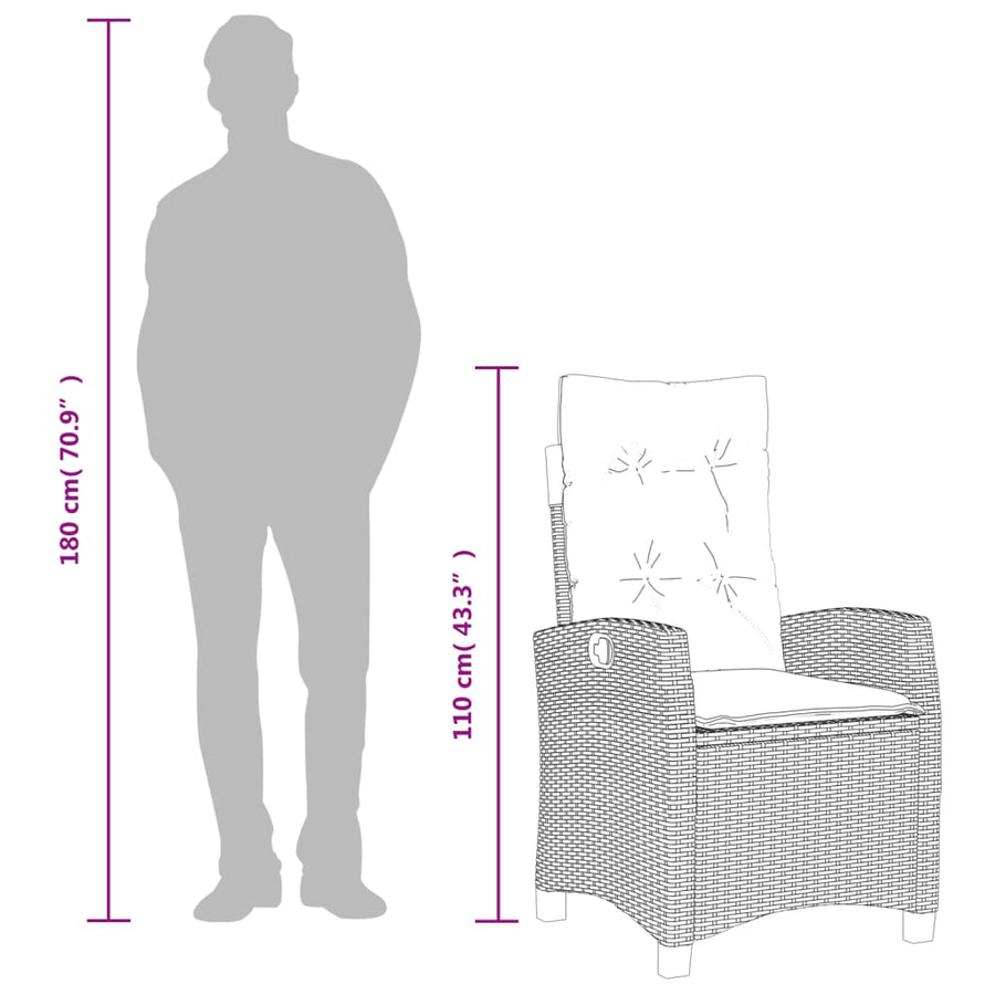 Tuinstoelen 2 St Verstelbaar Met Kussens Poly Rattan Zwart