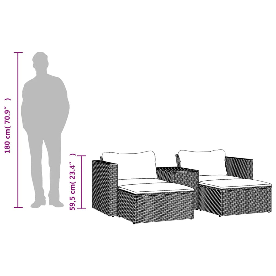 5-Delige Loungeset Met Kussens Poly Rattan Acacia Grijs