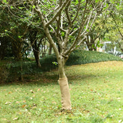 Juterol 0,5x5 m 100% Jute