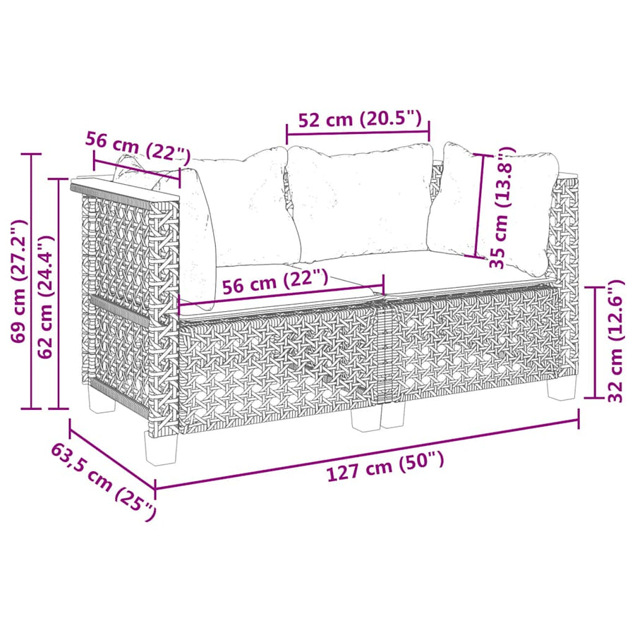 Tuinbanken Met Kussens Poly Rattan 2 Beige