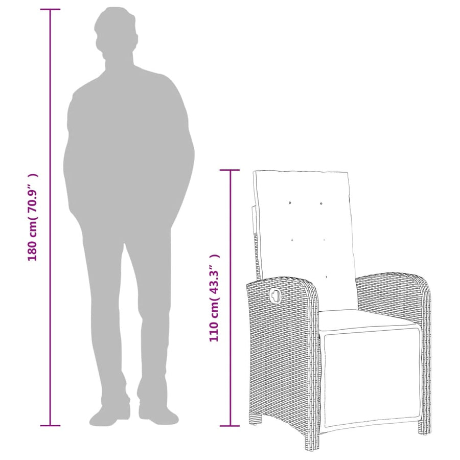 5-Delige Tuinset Met Kussens Poly Rattan Grijs