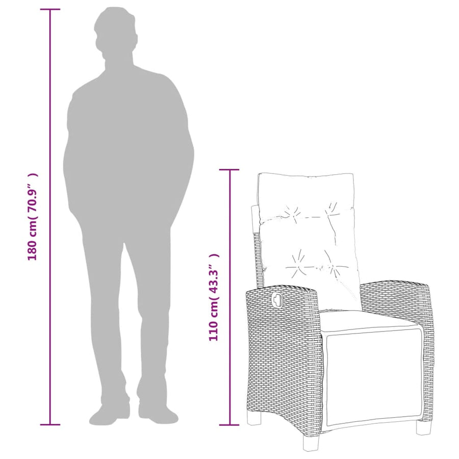 5-Delige Tuinset Met Kussens Poly Rattan Grijs