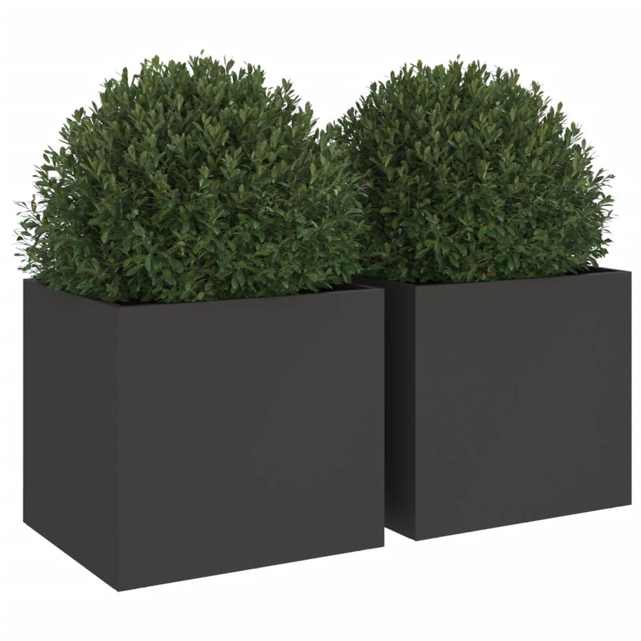 Plantenbakken 2 st 32x30x29 cm koudgewalst staal zwart 2 32 x 30 x 29 cm Zwart