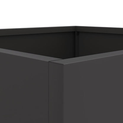 Plantenbakken 2 st 32x30x29 cm koudgewalst staal zwart 2 32 x 30 x 29 cm Zwart