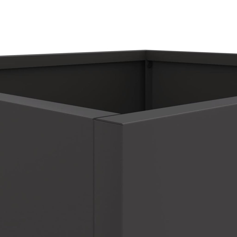 Plantenbakken 2 st 32x30x29 cm koudgewalst staal zwart 2 32 x 30 x 29 cm Zwart