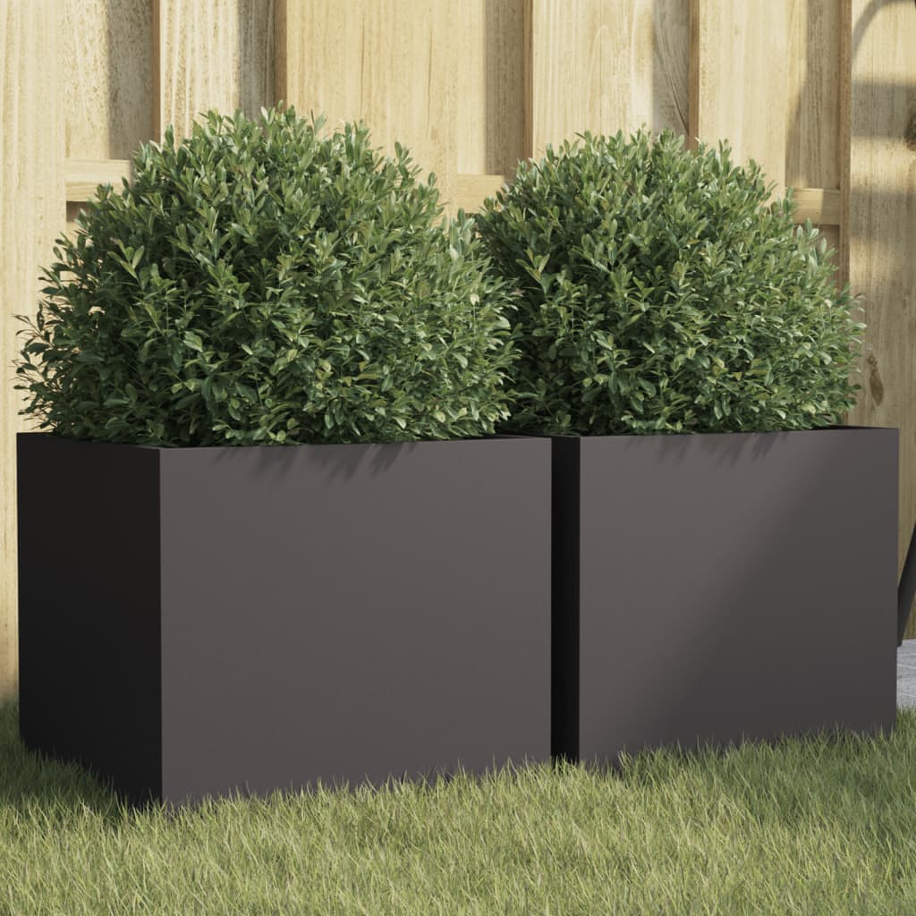 Plantenbakken 2 st 32x30x29 cm koudgewalst staal zwart 2 32 x 30 x 29 cm Zwart