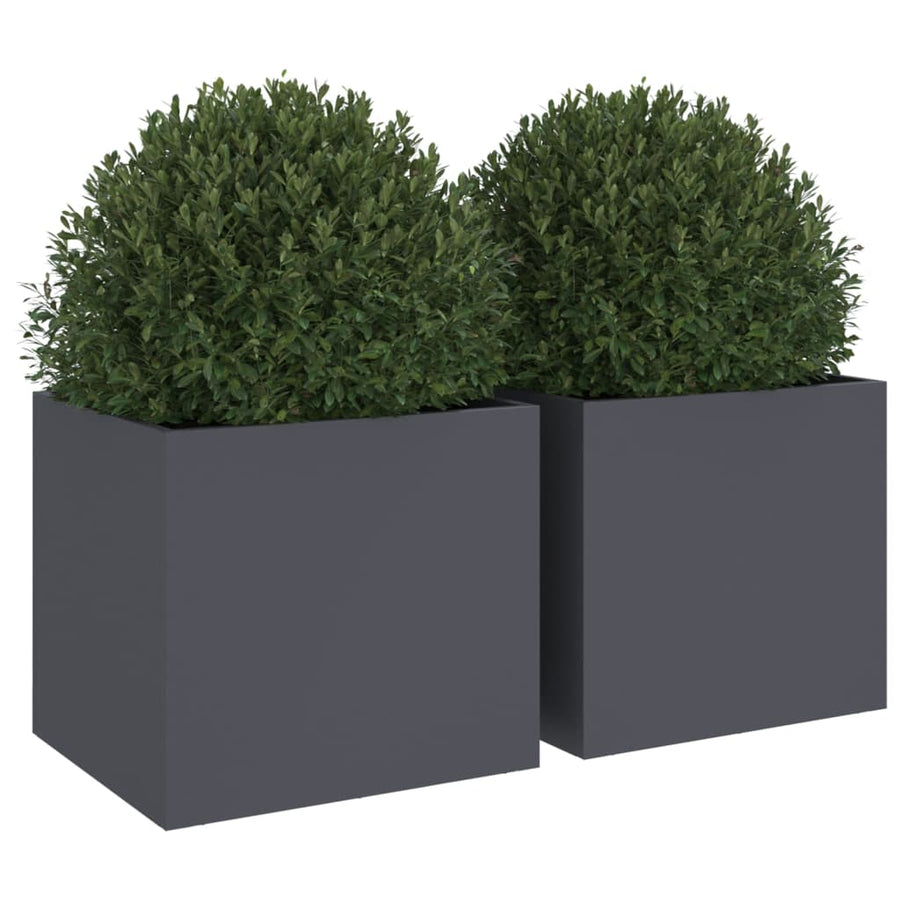 Plantenbakken 2 st 32x30x29 cm koudgewalst staal antracietkleur 2 32 x 30 x 29 cm Antraciet