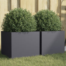 Plantenbakken 2 st 32x30x29 cm koudgewalst staal antracietkleur 2 32 x 30 x 29 cm Antraciet