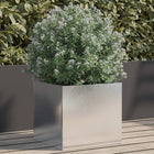 Planter Stainless Steel Silver 1