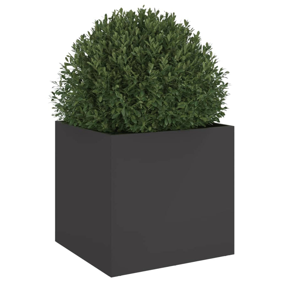 Plantenbak 42x40x39 cm koudgewalst staal zwart 1 42 x 40 x 39 cm Zwart