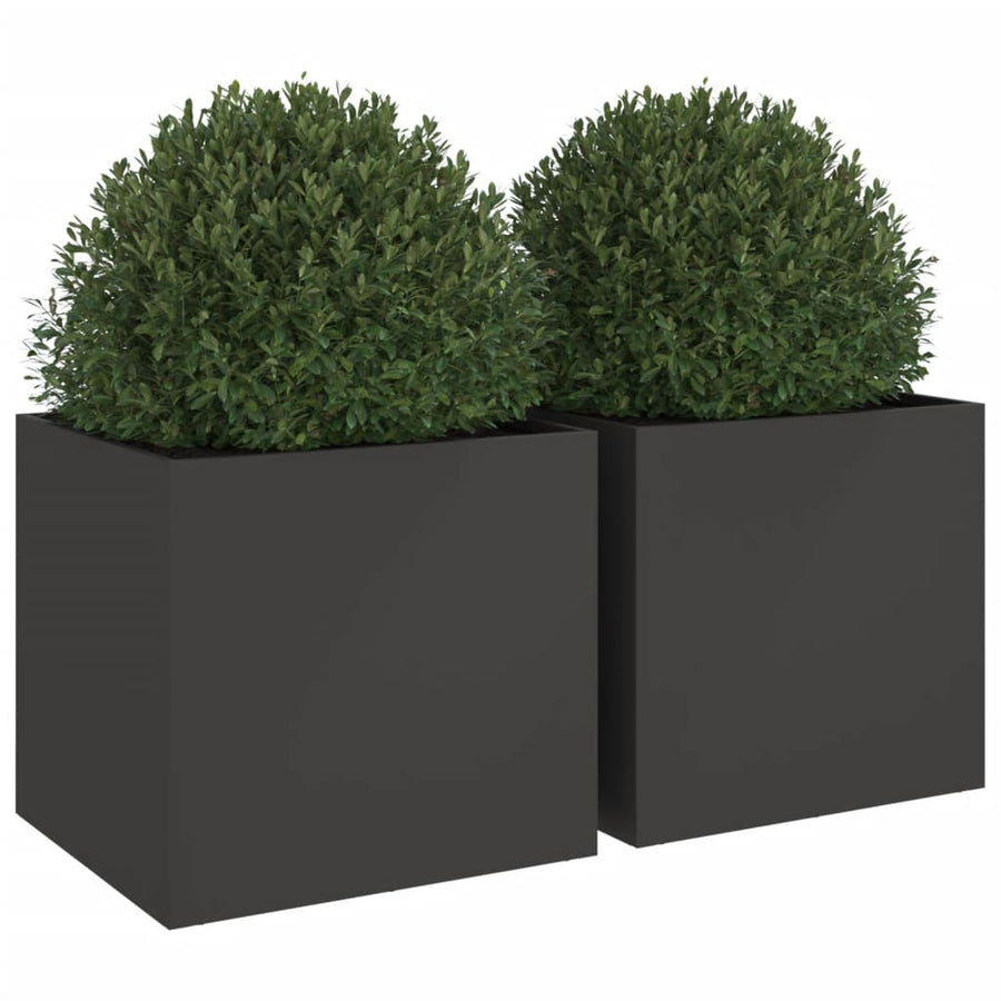 Plantenbakken 2 st 49x47x46 cm koudgewalst staal zwart 2 49 x 47 x 46 cm Zwart