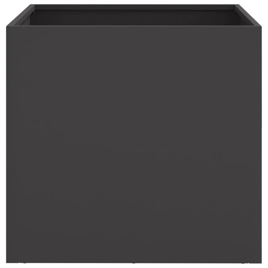 Plantenbakken 2 st 49x47x46 cm koudgewalst staal zwart 2 49 x 47 x 46 cm Zwart