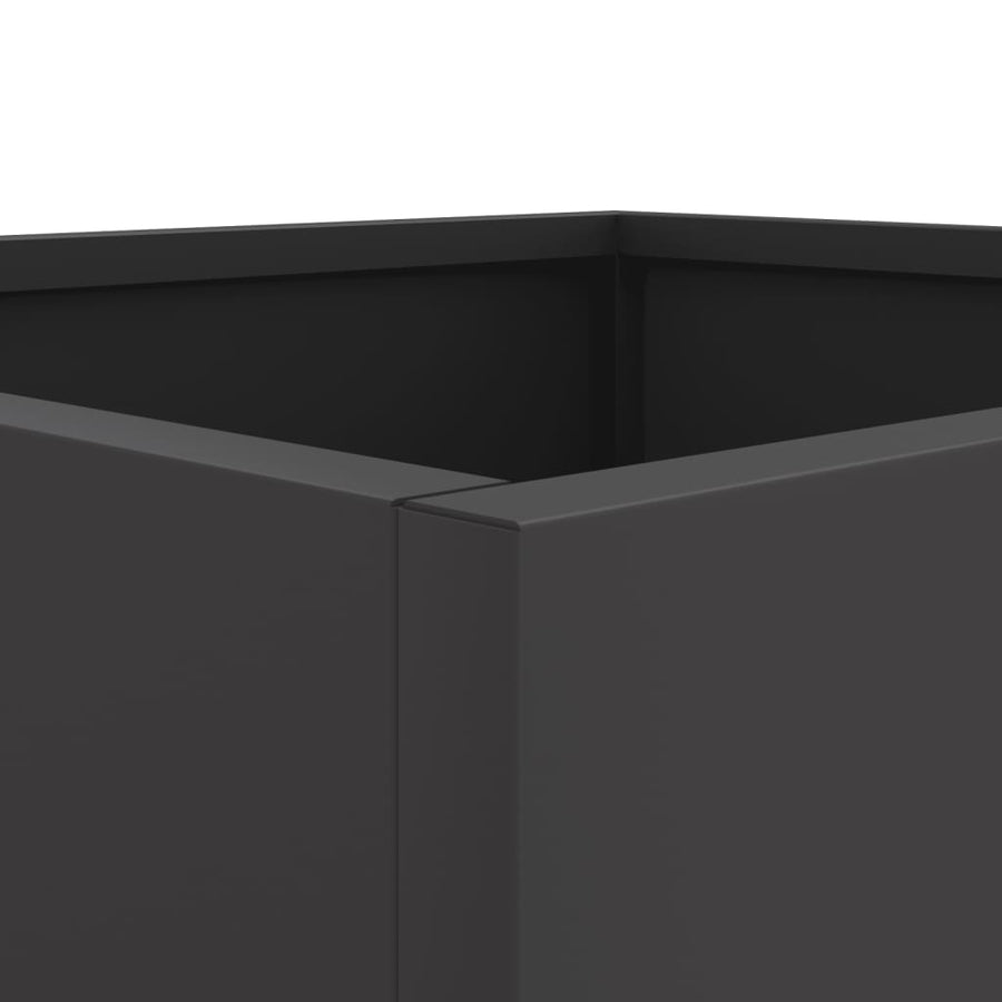 Plantenbakken 2 st 49x47x46 cm koudgewalst staal zwart 2 49 x 47 x 46 cm Zwart