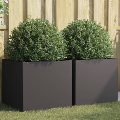 Plantenbakken 2 st 49x47x46 cm koudgewalst staal zwart 2 49 x 47 x 46 cm Zwart