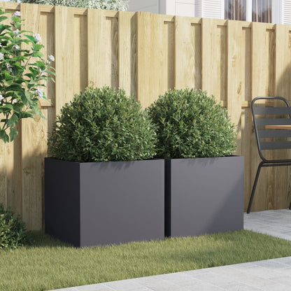 Plantenbakken 2 st 49x47x46 cm koudgewalst staal antracietkleur 2 49 x 47 x 46 cm Antraciet