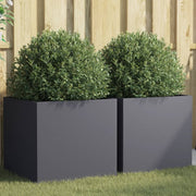 Plantenbakken 2 st 49x47x46 cm staal antraciet