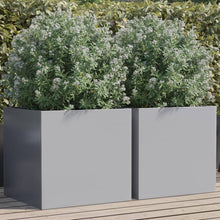 Plantenbakken 2 st 49x47x46 cm gegalvaniseerd staal zilverkleur 2 49 x 47 x 46 cm Zilvergrijs