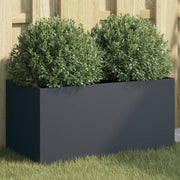 Plantenbak 62x30x29 cm staal antraciet