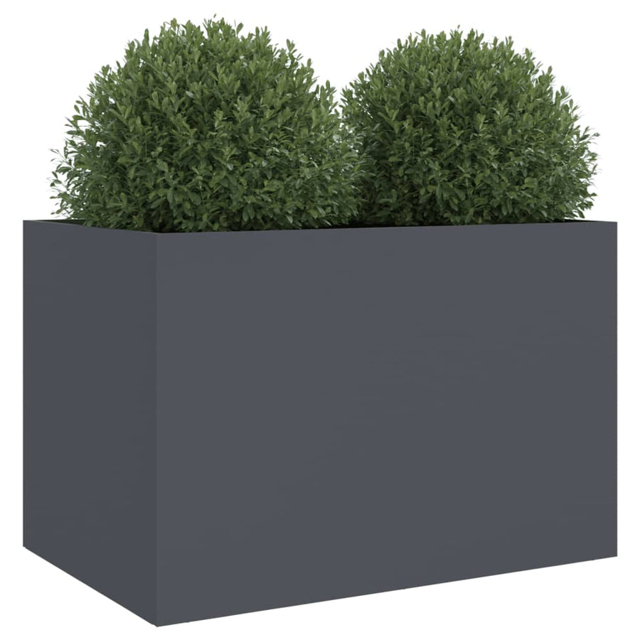 Plantenbak 62x40x39 cm koudgewalst staal antracietkleurig 1 62 x 40 x 39 cm Antraciet