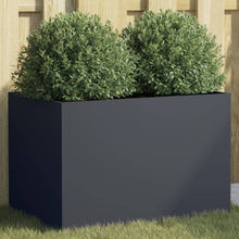 Plantenbak 62x40x39 cm koudgewalst staal antracietkleurig 1 62 x 40 x 39 cm Antraciet