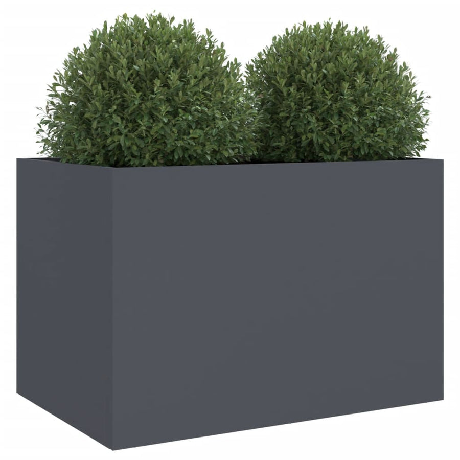 Plantenbak 62x47x46 cm koudgewalst staal antracietkleurig 1 62 x 47 x 46 cm Antraciet