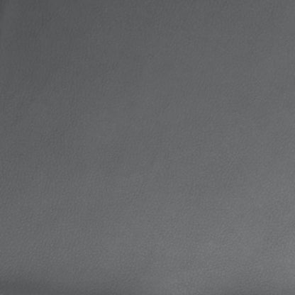 Fauteuil verstelbaar kunstleer Nee Handmatig verstelbaar