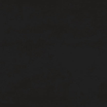 Slaapbank 2-Zits Met 2 Kussens Fluweel Zwart Met armleuning