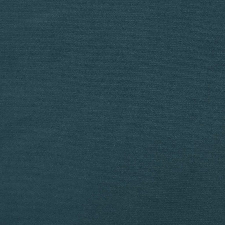 Slaapbank 2-Zits Met 2 Kussens Fluweel Blauw