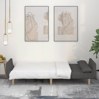 Slaapbank 2-Zits Met 2 Kussens Stof Donkergrijs Met armleuning