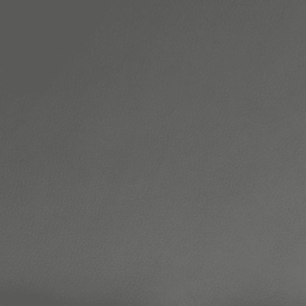 Slaapbank 2-Zits Kunstleer Grijs Zonder armleuning