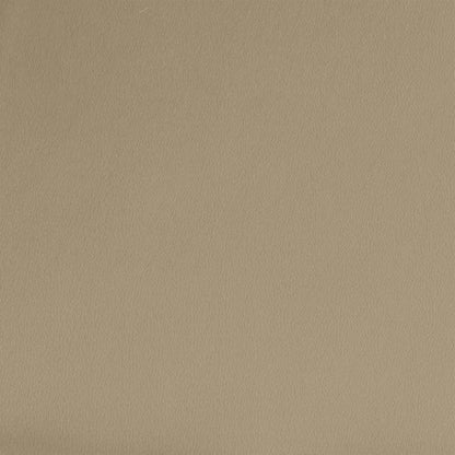 Slaapbank 2-Zits Kunstleer Kleurig Cappuccino Met armleuning