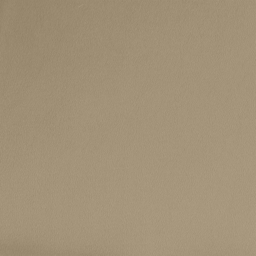 Slaapbank 2-Zits Kunstleer Kleurig Cappuccino Met armleuning