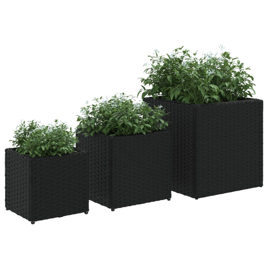 Plantenbakken 3 st poly rattan zwart