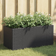 Plantenbak 72x30x32 cm poly rattan zwart