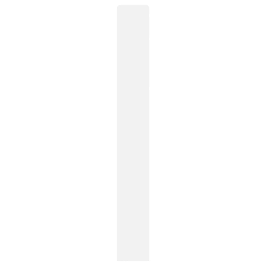 Schoenenkast Met 4 Klaplades 80X2X63,5 Cm Wit 80 x 21 x 163.5 cm