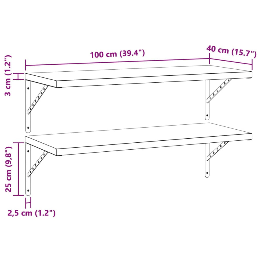 Wandschappen 2 st 100x40 cm roestvrijstaal zilverkleurig