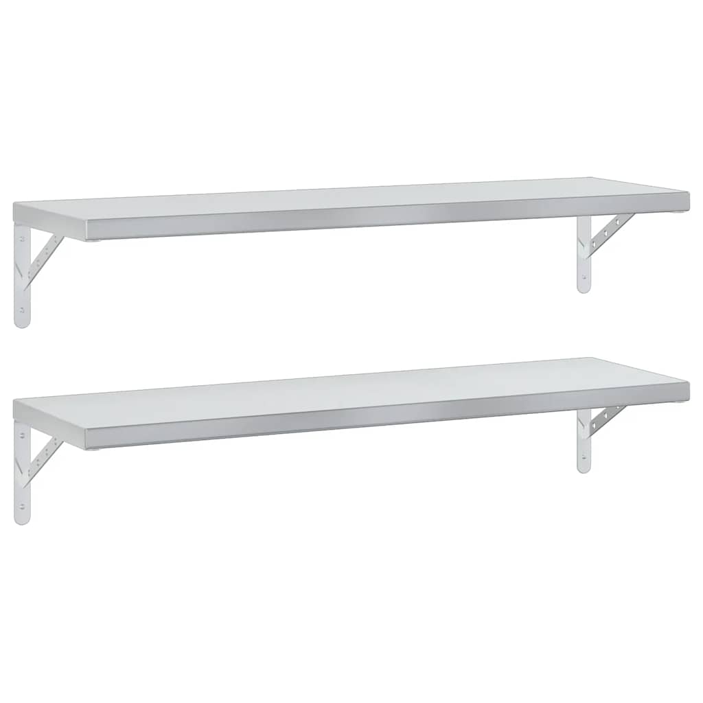 Wandschappen 2 St Roestvrijstaal Kleurig 100 x 30 cm Zilver