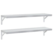 Wandschappen 2 St Roestvrijstaal Kleurig 100 x 30 cm Zilver