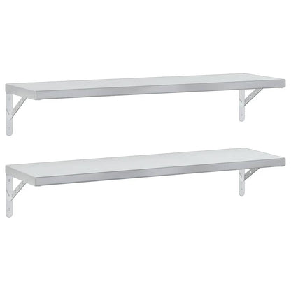 Wandschappen 2 St Roestvrijstaal Kleurig 100 x 30 cm Zilver