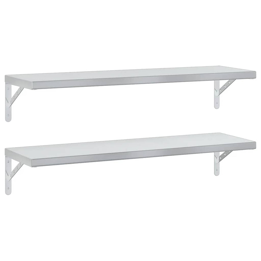 Wandschappen 2 St Roestvrijstaal Kleurig 100 x 30 cm Zilver