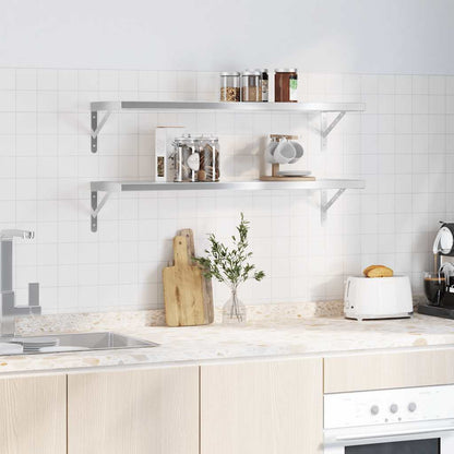 Wandschappen 2 St Roestvrijstaal Kleurig 100 x 30 cm Zilver