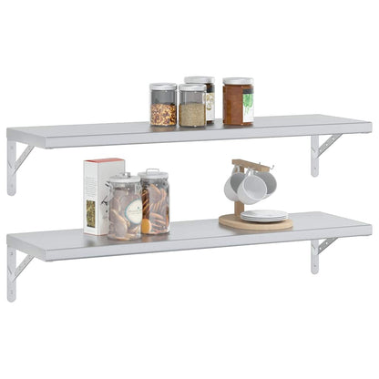 Wandschappen 2 St Roestvrijstaal Kleurig 100 x 30 cm Zilver
