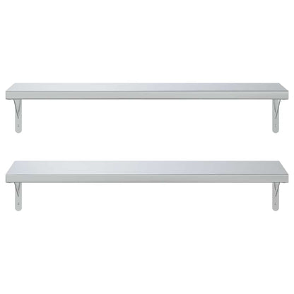 Wandschappen 2 St Roestvrijstaal Kleurig 100 x 30 cm Zilver