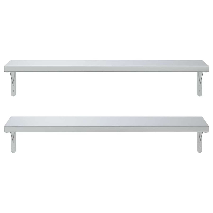 Wandschappen 2 St Roestvrijstaal Kleurig 100 x 30 cm Zilver