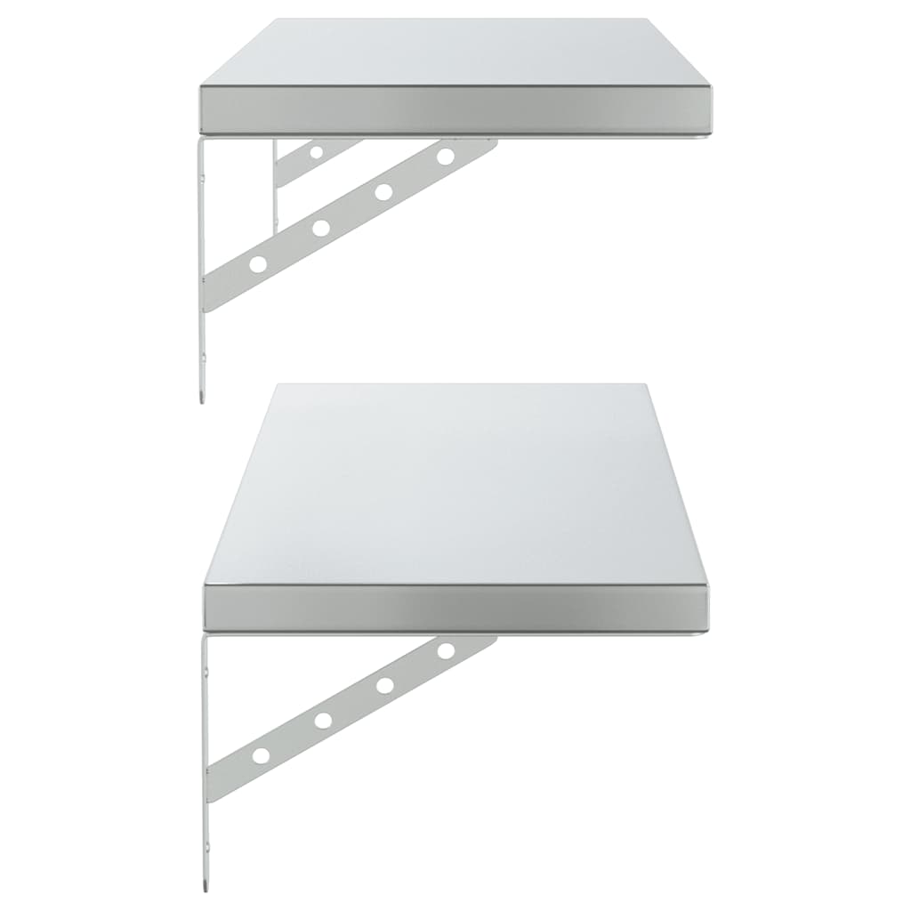 Wandschappen 2 St Roestvrijstaal Kleurig 100 x 30 cm Zilver