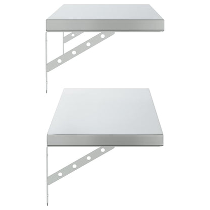 Wandschappen 2 St Roestvrijstaal Kleurig 100 x 30 cm Zilver